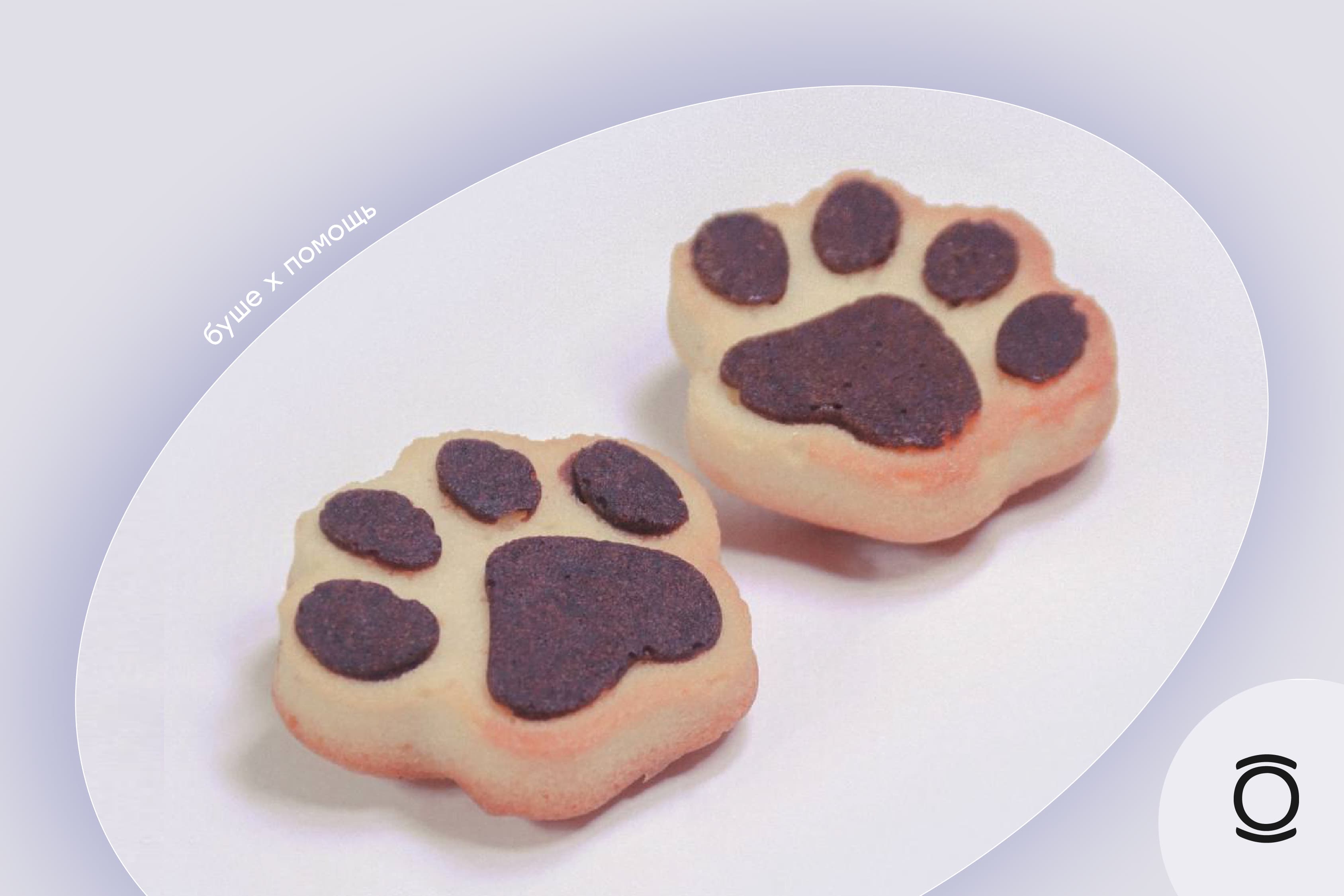 У нас лапки с проектом «ПОМОЩЬ»